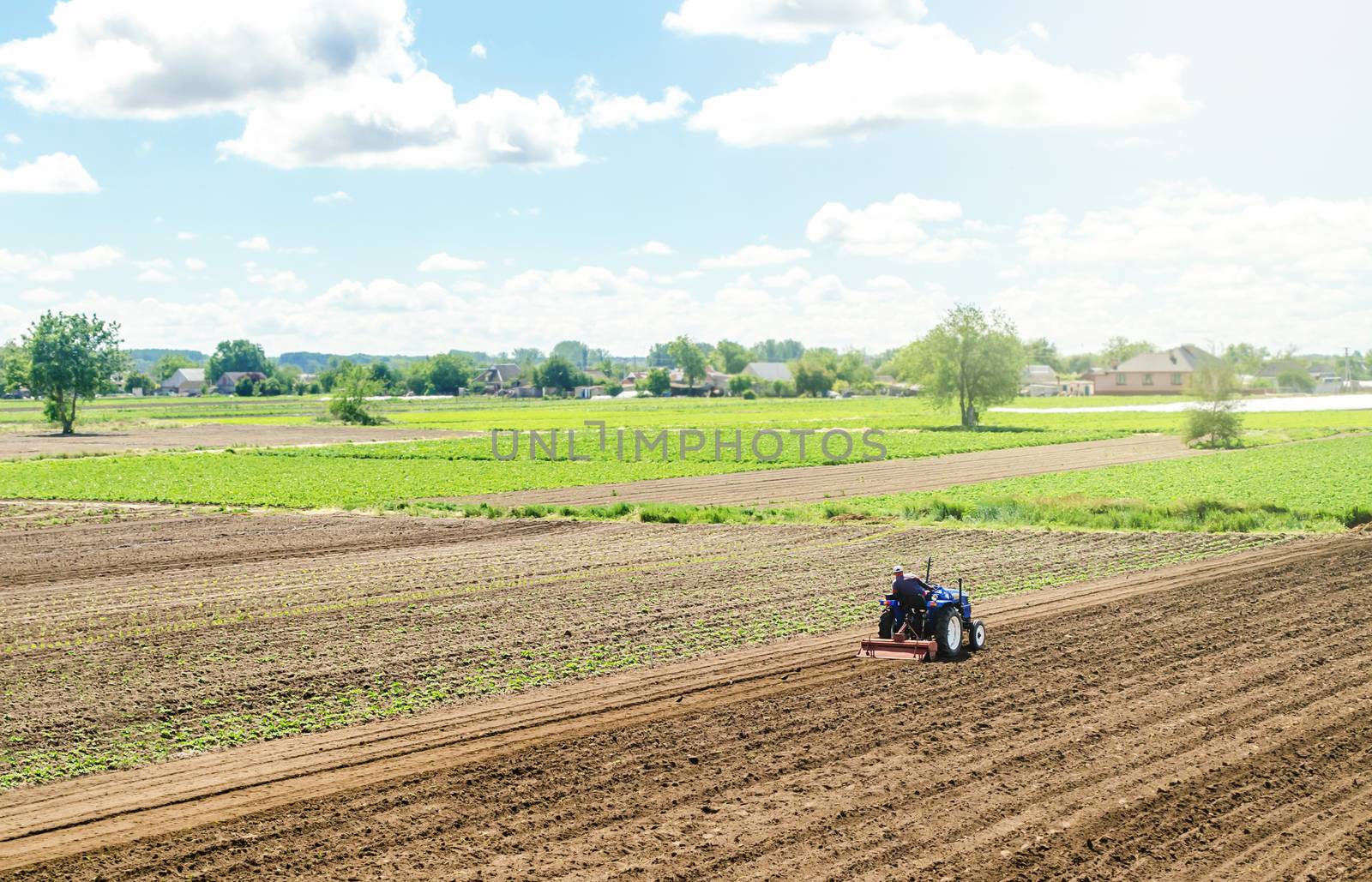 A tractor rides on a farm field. Loosening the surface, cultivating the land for further planting. Farming and agriculture. Farmer on a tractor with milling machine loosens, grinds and mixes soil. by iLixe48