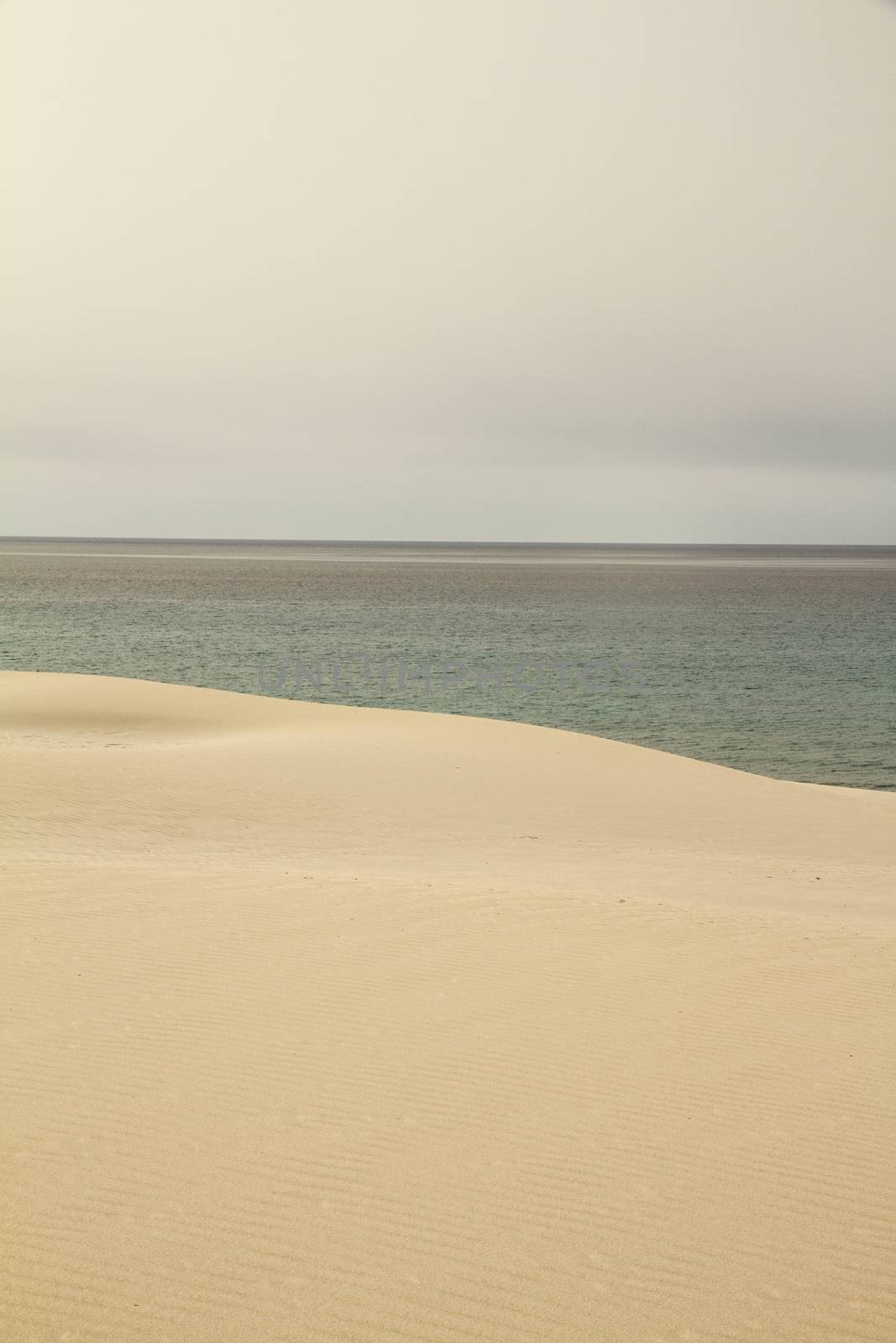 The gray sky breaks abruptly on the winter sea harmoniously marked by the yellow sand dune