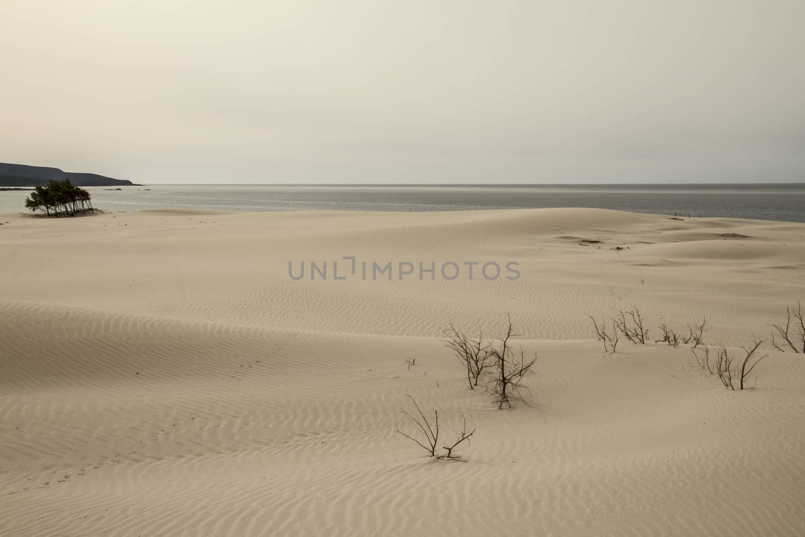 Sand dunes that are outlined forming a lunar landscape with gray by robbyfontanesi