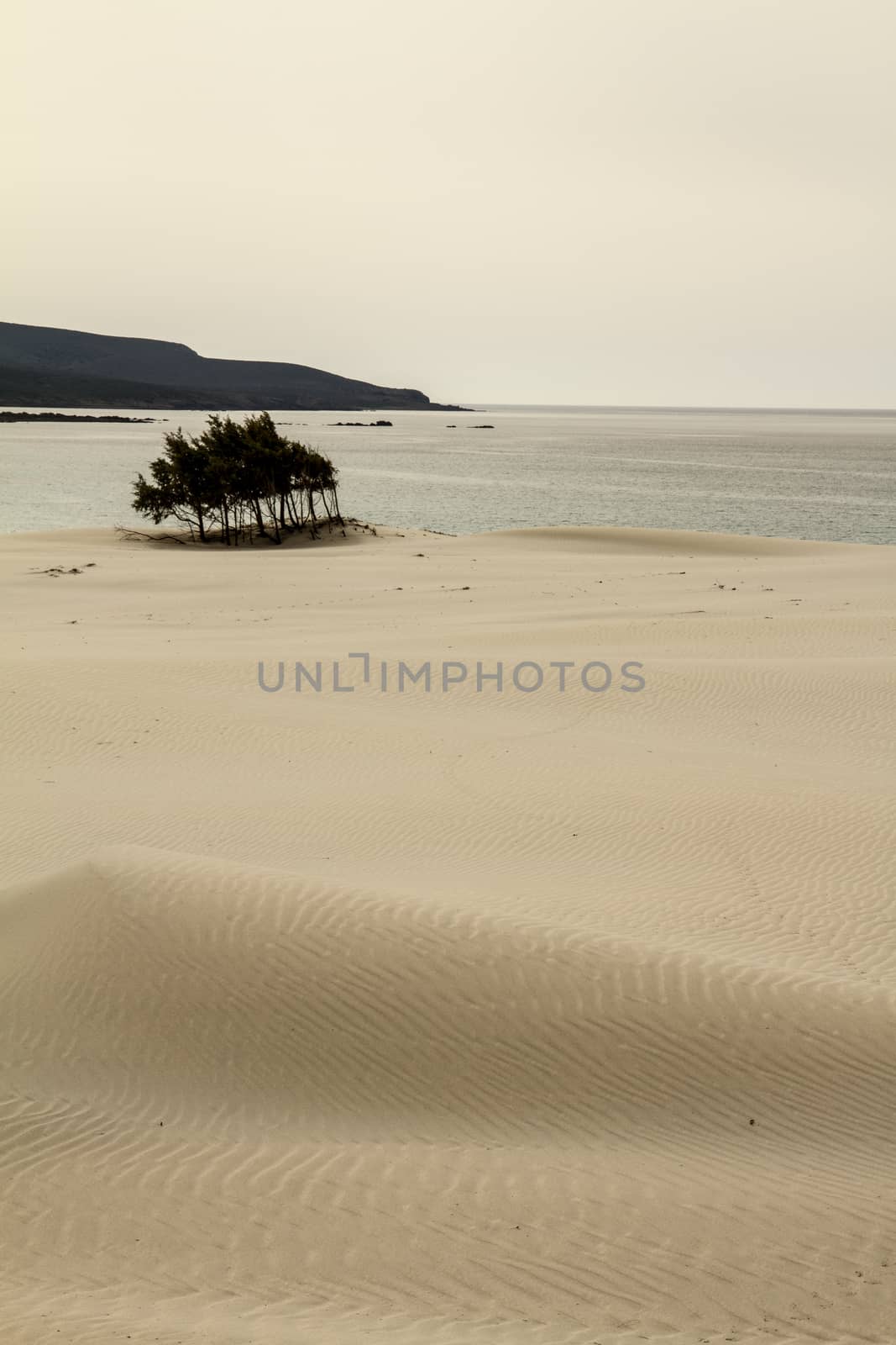 Sand dunes that are outlined forming a lunar landscape with gray by robbyfontanesi