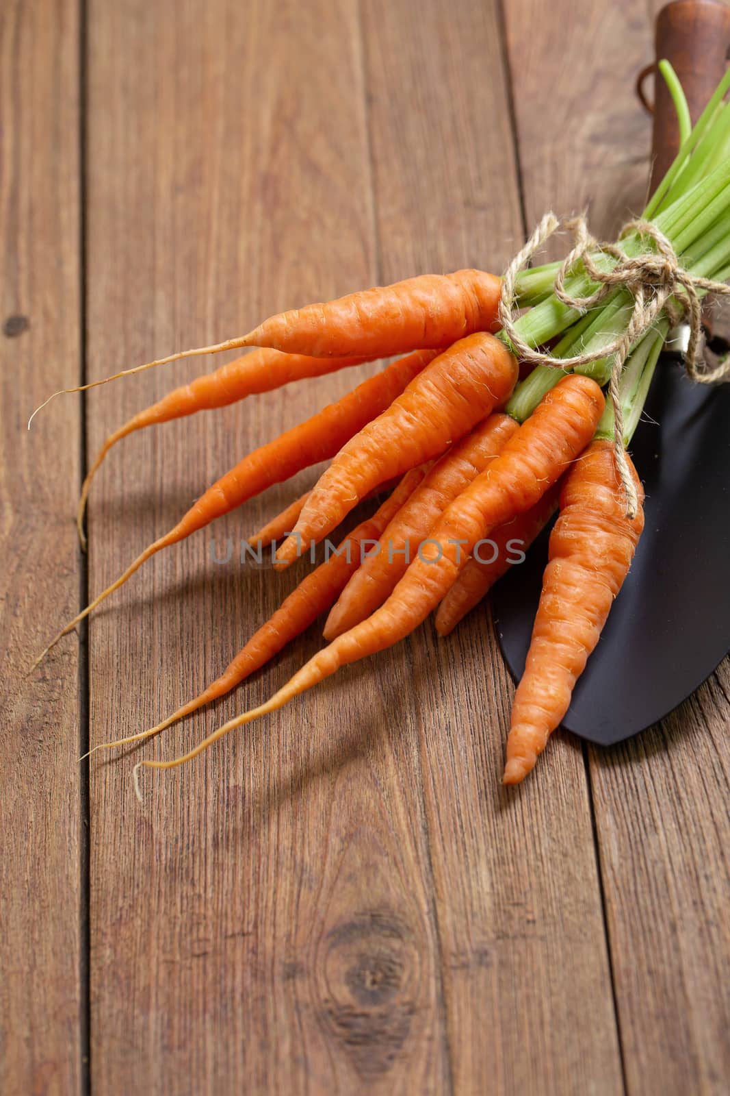 Fresh baby carrots on wooden cutting board and wooden background by kaiskynet