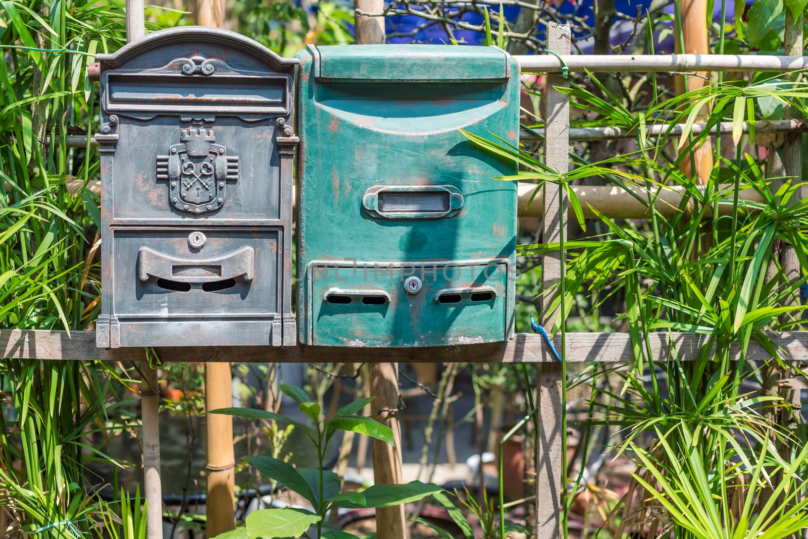 A green and a grey old mailbox on a fence against vegetation