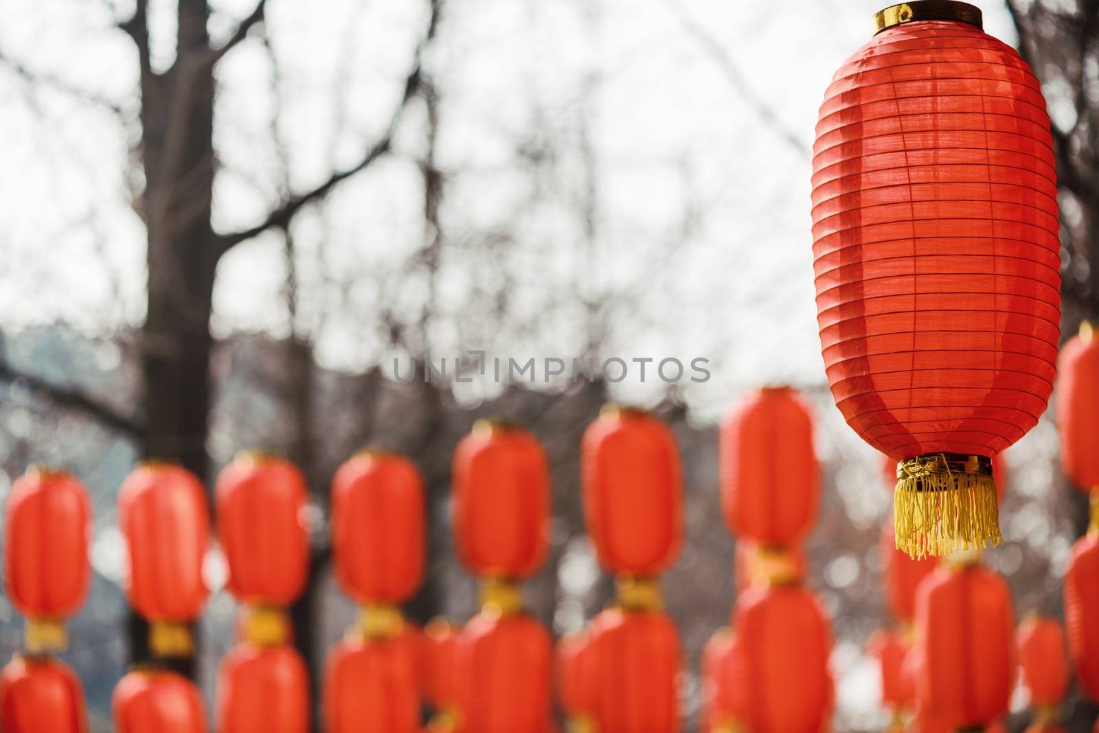 Red chinese lanterns hanged for the chinese new year in China