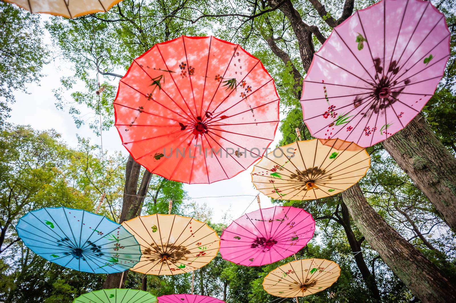 Chinese traditional multicolored umbrellas hanged on trees low angle view in Guilin, Guangxi province, China