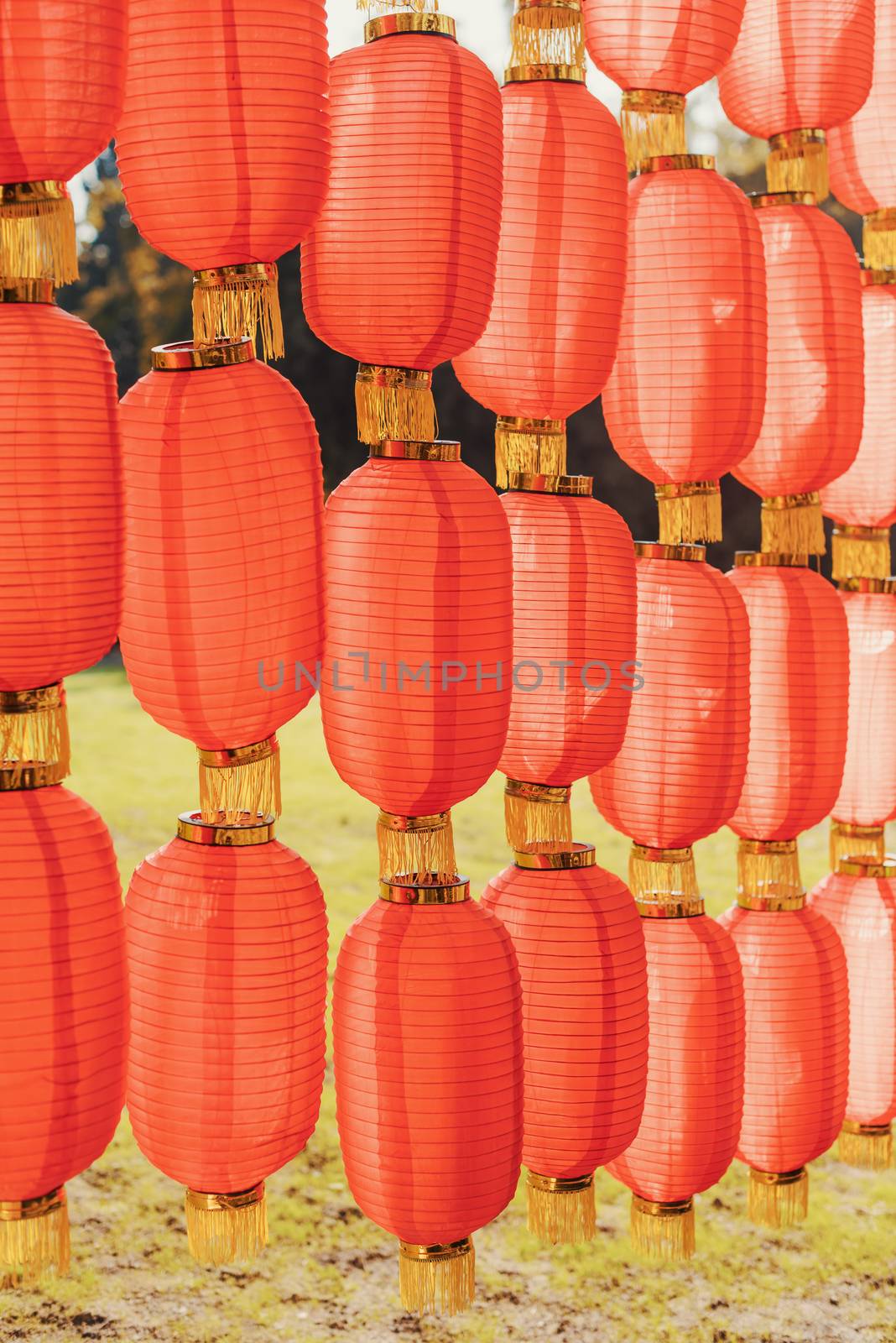 Red chinese lanterns hanged for the chinese new year in China