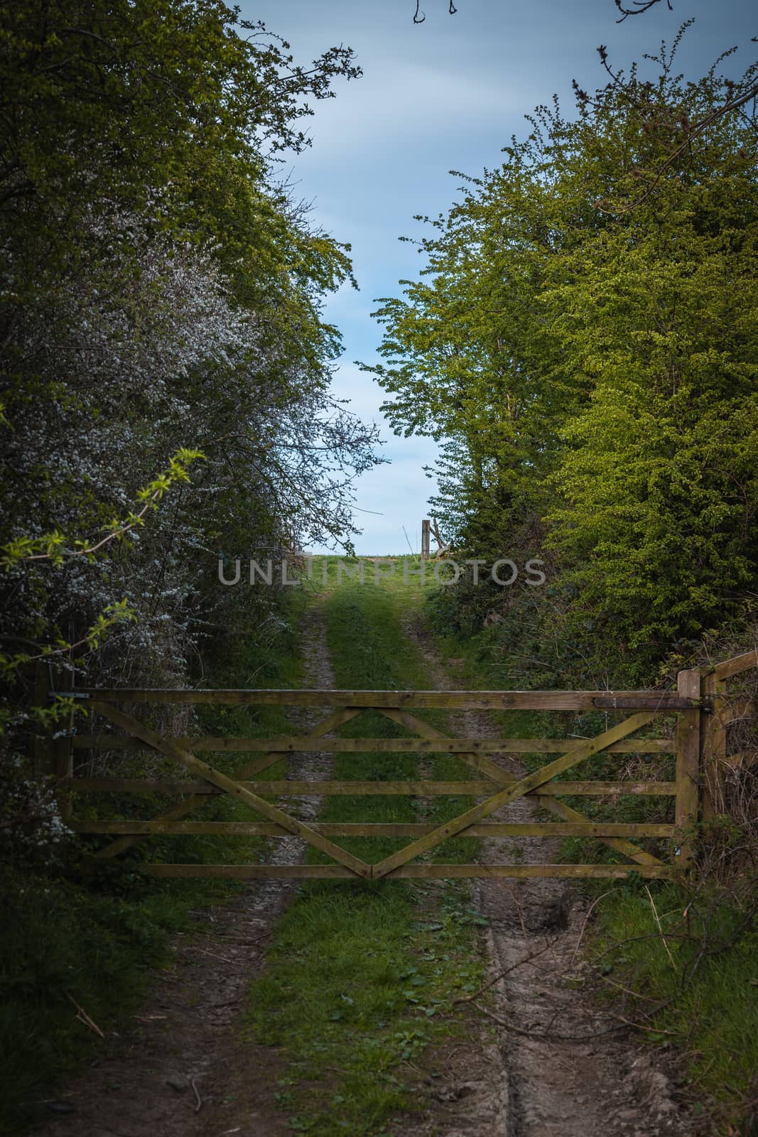 An old rustic wooden farm gate in the countryside with a dirt track and trees