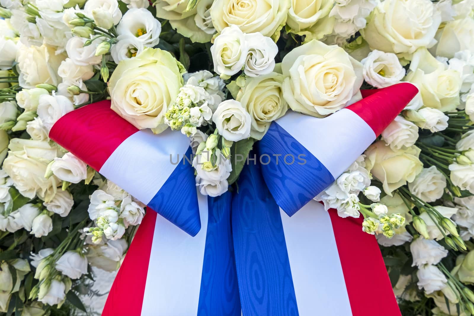 White roses and the national dutch flag from the Netherlands by devy