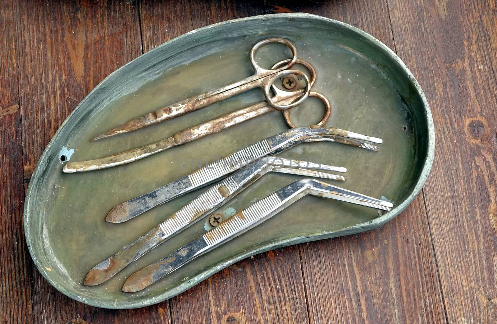 Old medical scissors and tweezers in a metal tray
