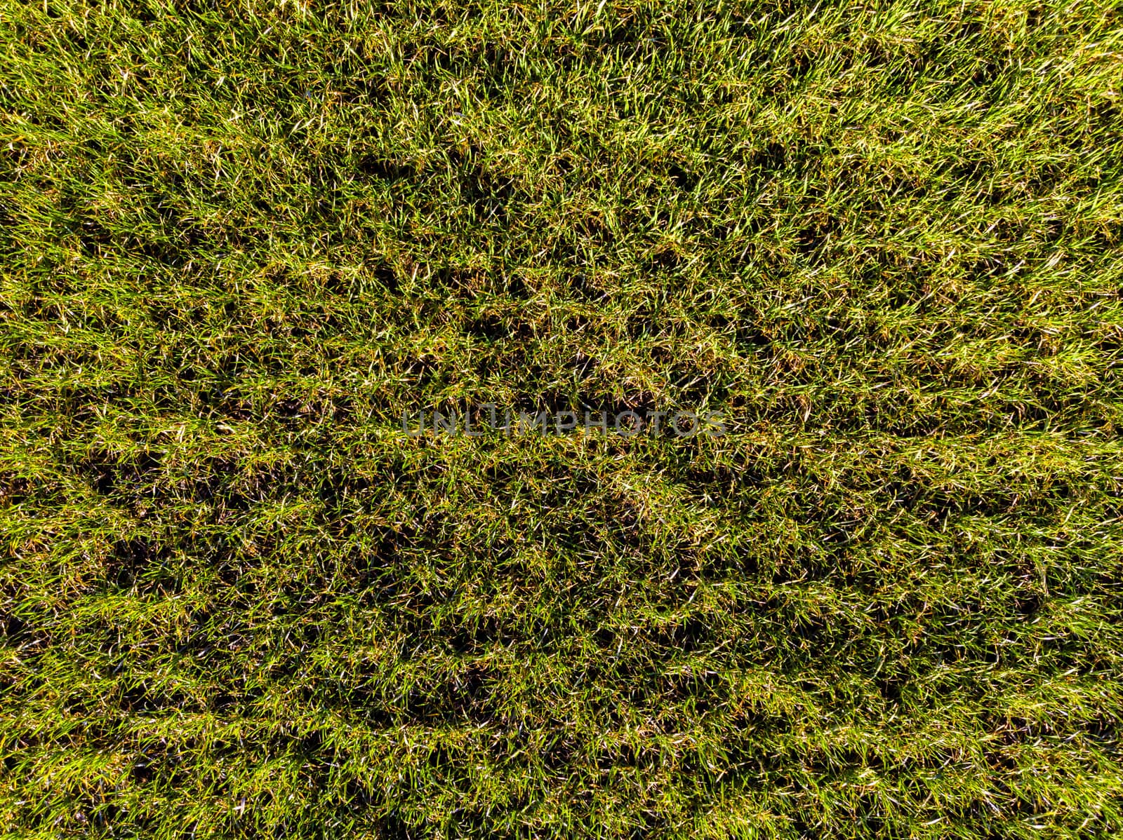 aerial top view from drone of  farm field in sunny spring day, backgraund concept