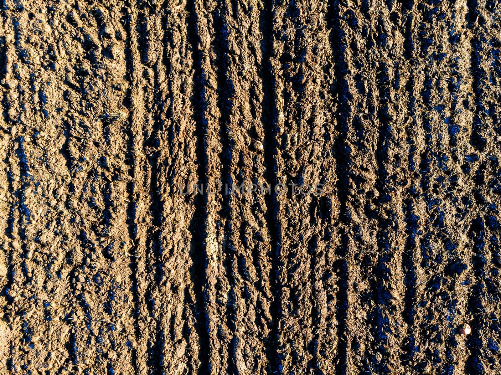 Aerial top view of  cultivated agricultural land in sunny spring day, textured backgraund