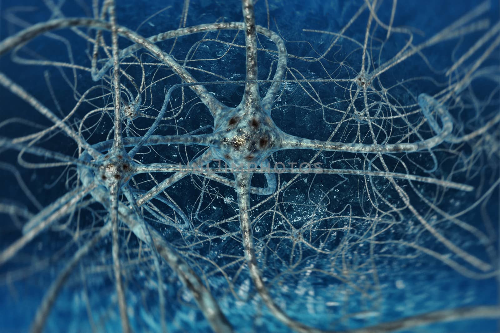 digital illustration neurons of the human brain