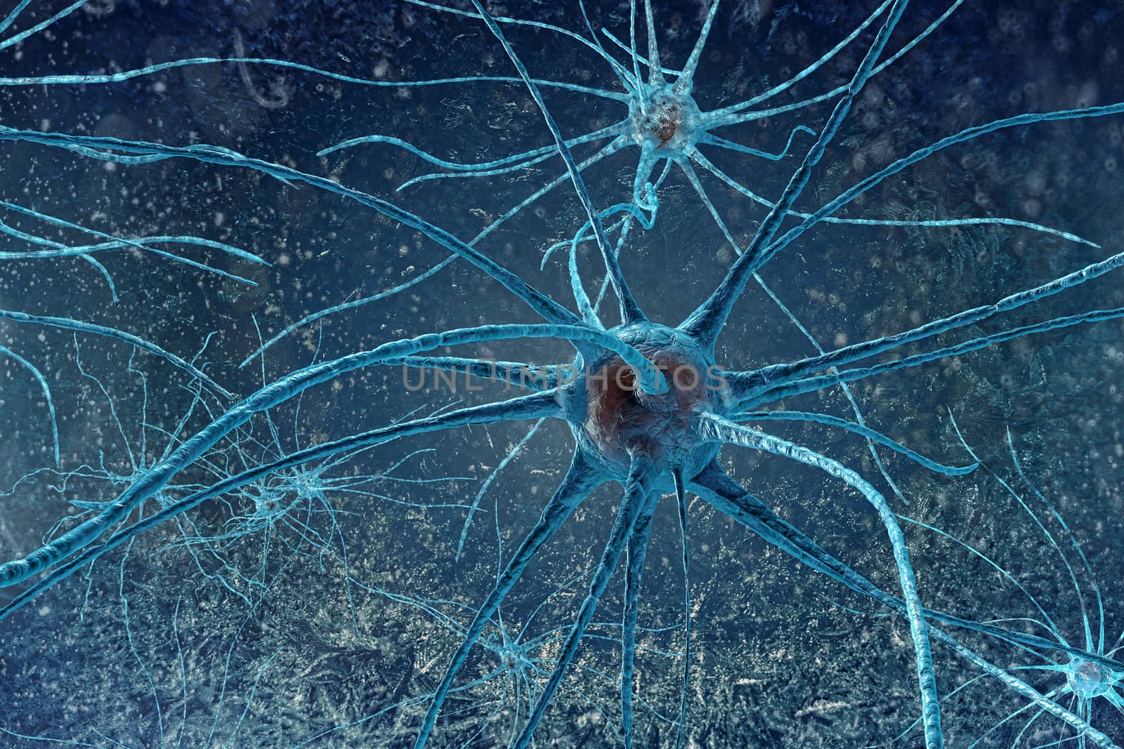 digital illustration neurons of the human brain