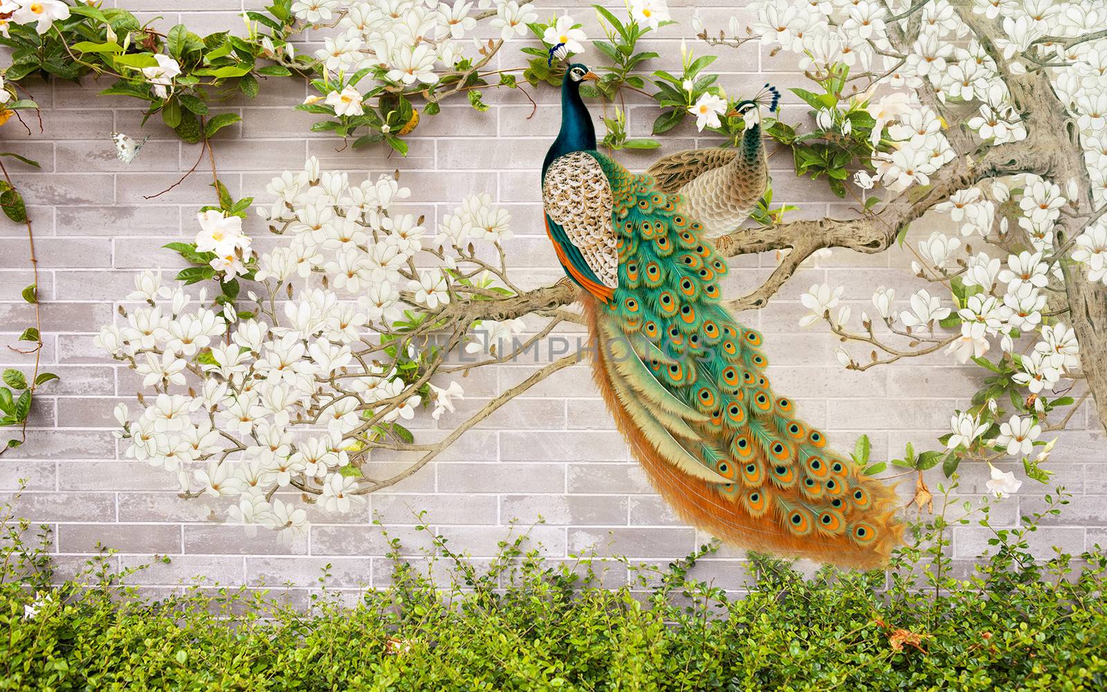 3D flower peacock round background wall by ipinsadja