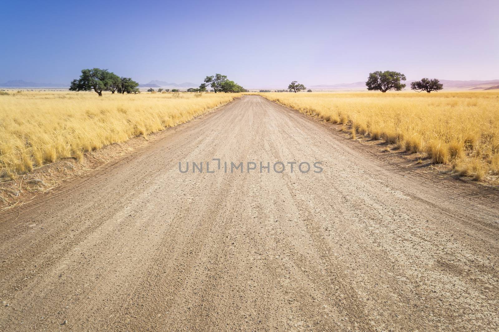 Grass-lined Namibian savanna gravel road near Sossusvlei, Namibia, during travel and self drive road trip in Africa. Showing horizon, infinity point and dramatic golden hour