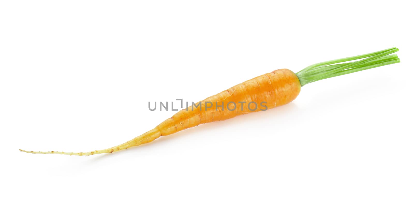 Bunch of baby carrots vegetable isolated on white background.