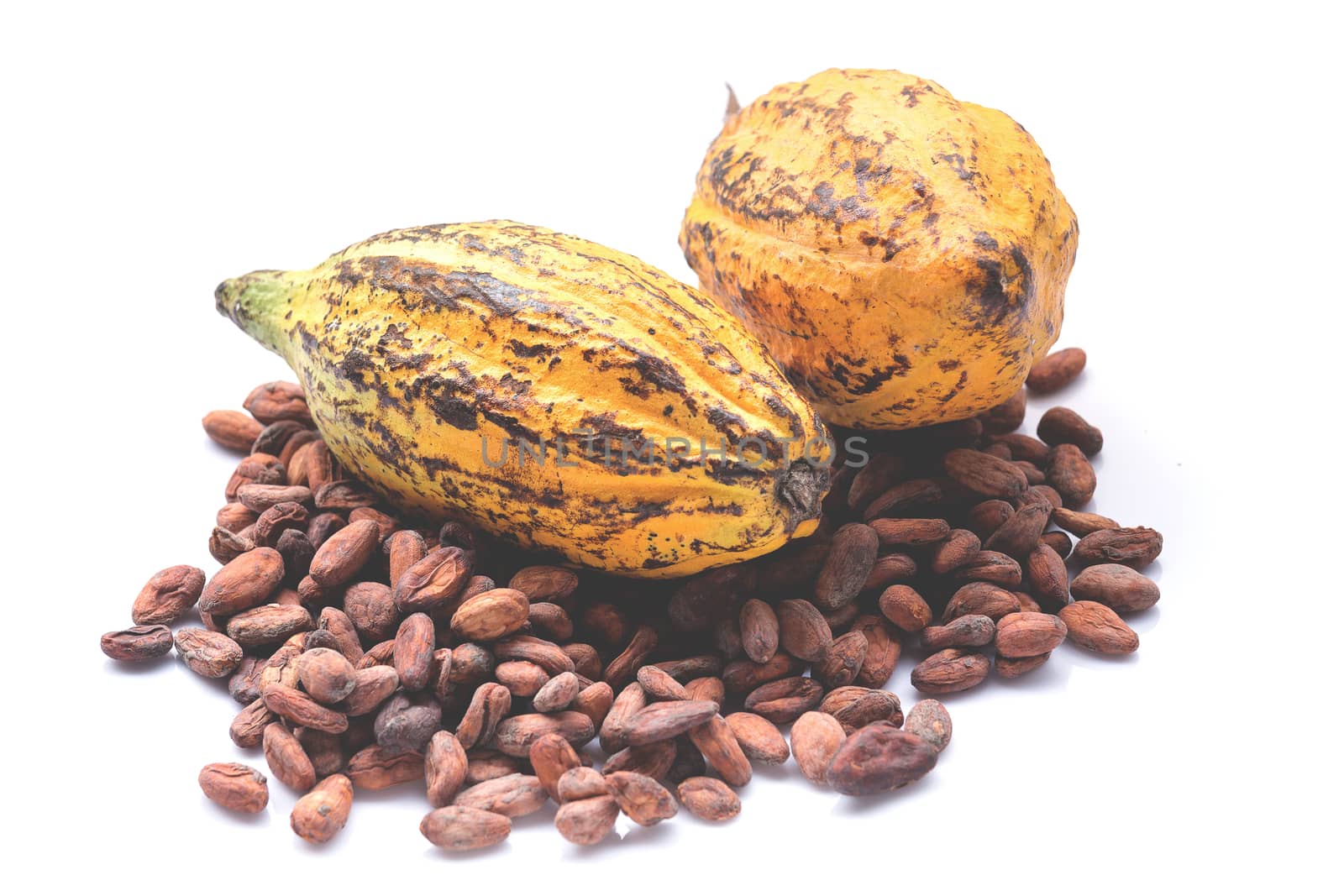 Cocoa fruit, raw cacao beans, Cocoa pod isolated on white background.