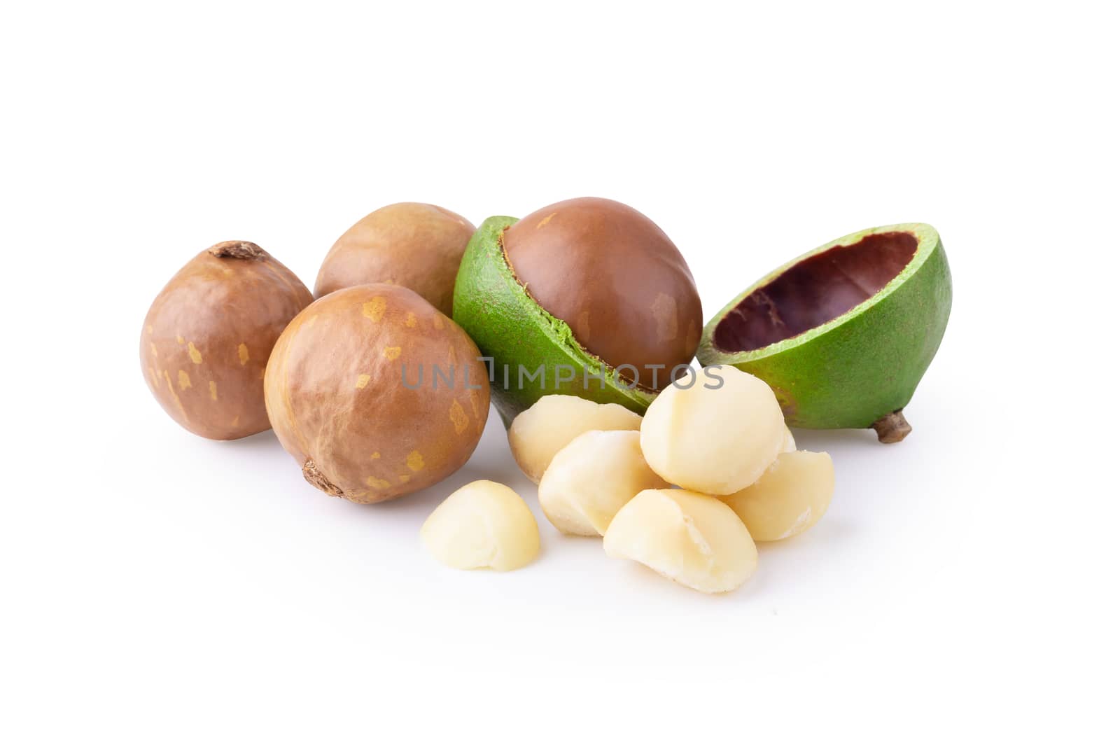 Macadamia nuts isolated on a white background by kaiskynet