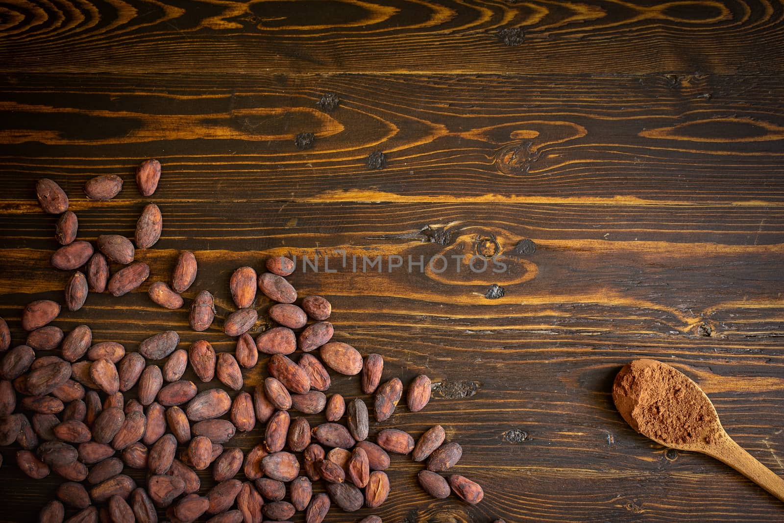 Cocoa beans and cocoa powder in wooden spoon on old natural wooden background.