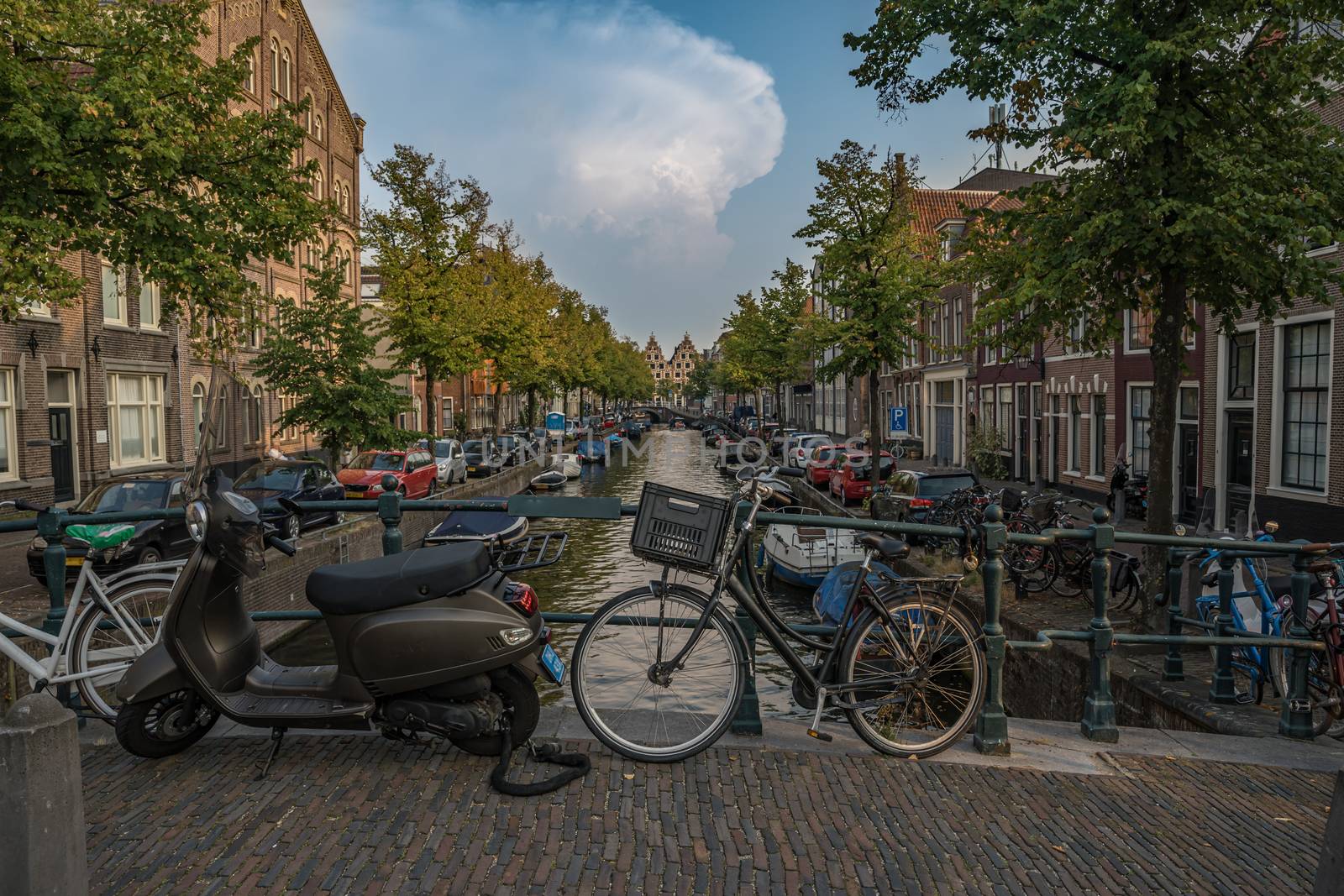 ordinary life on street in holland amsterdam during summer