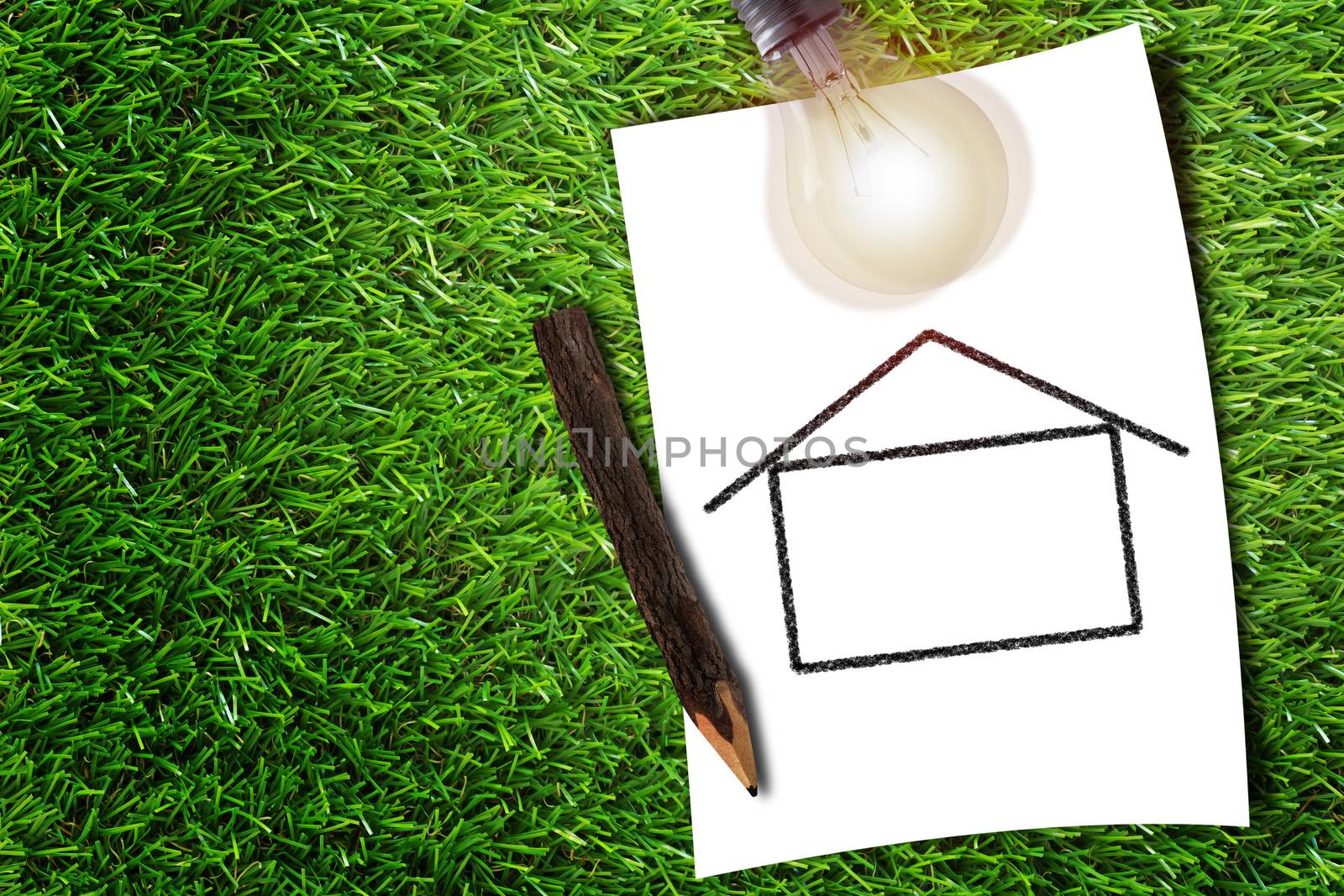 Green energy concept, drawing house and light bulb on grass background, nature and ecology