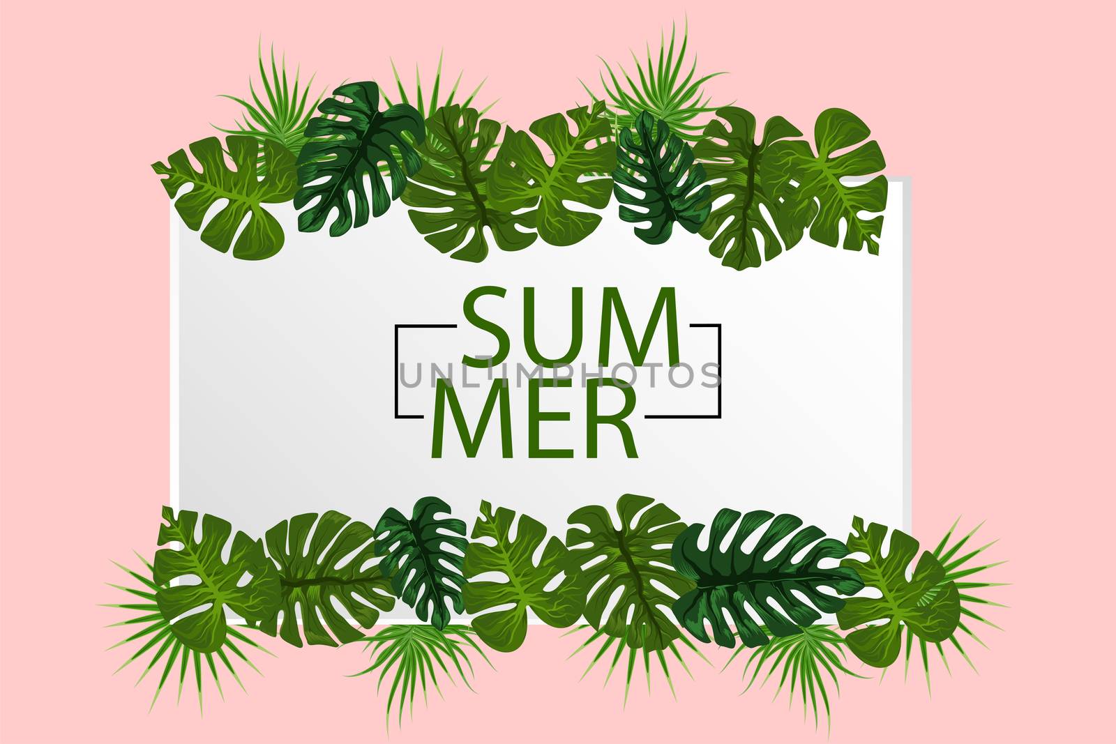 Hello summer greeting. Tropical background vector palm leaf. Exotic summer green jungle tree. Hawaii plant pattern decoration design. Botanical tropic fashion element. Colorful travel banner.