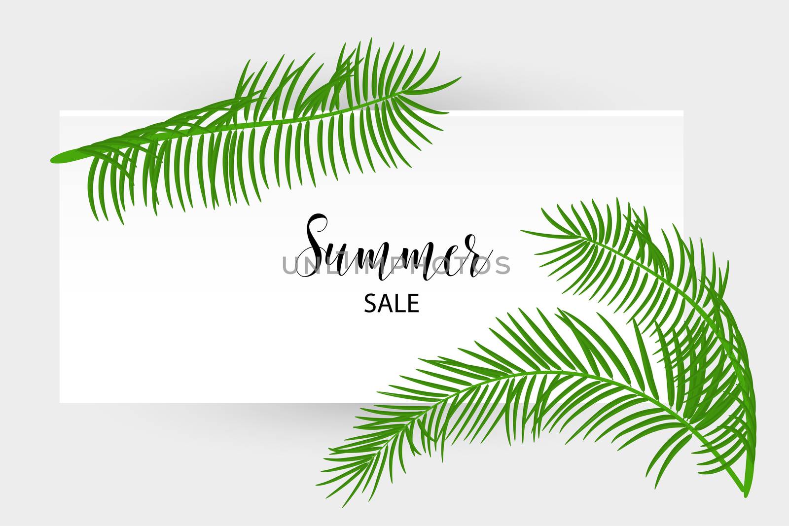 Summer sale poster. Tropical background vector palm leaf. Exotic summer green jungle tree. Hawaii plant pattern decoration design. Botanical tropic fashion element. Colorful travel banner.