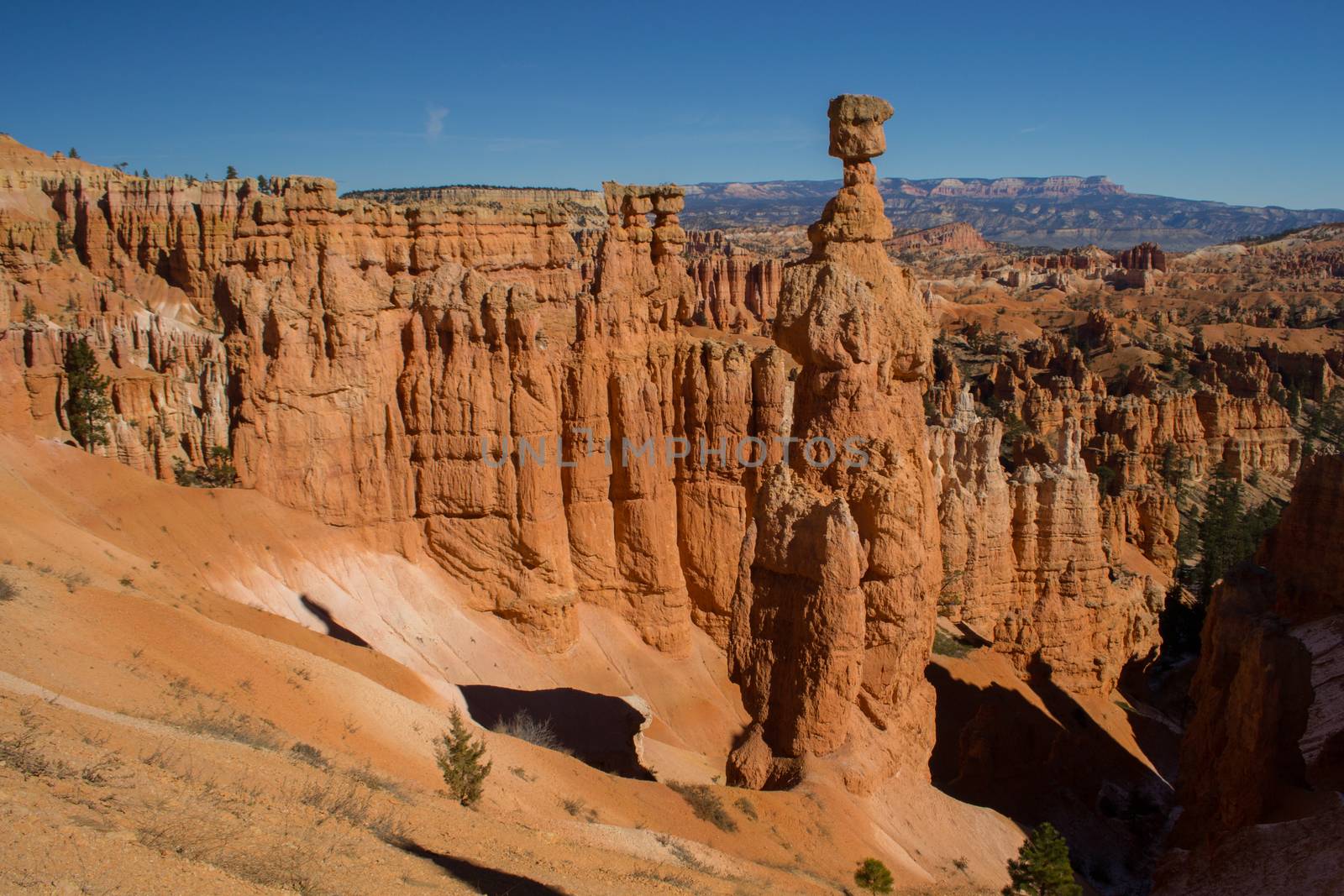 View on Thors Hammer in Bryce Canyon national park, Utah, United States by kb79