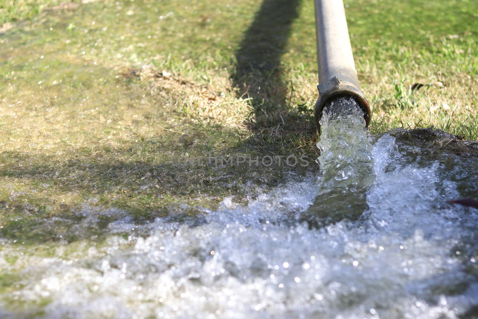The water was gushing out from a metal pipe on the lawn.