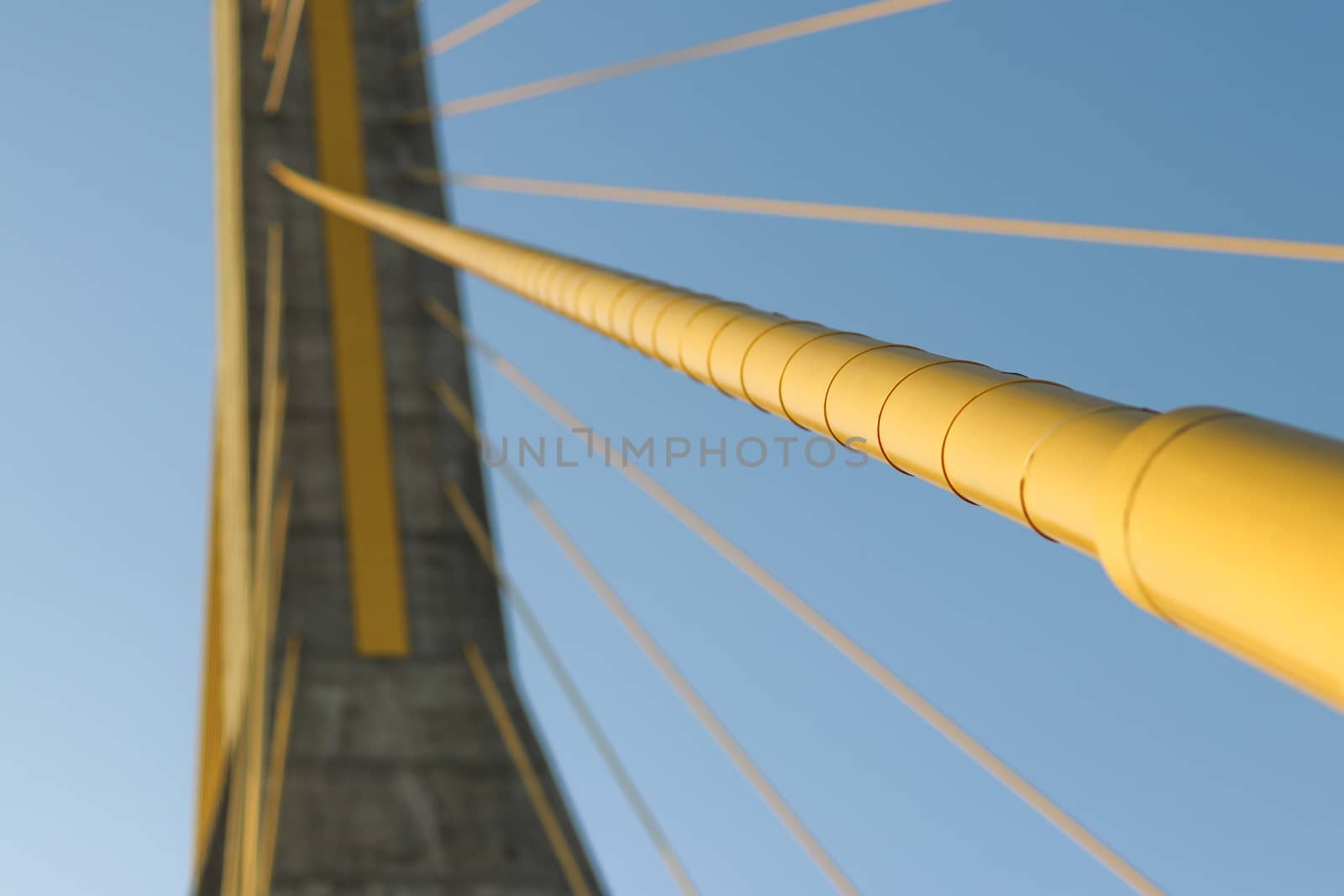 The yellow cable of the suspension bridge. The cable of the suspension bridge will have tension to support the weight of the bridge.