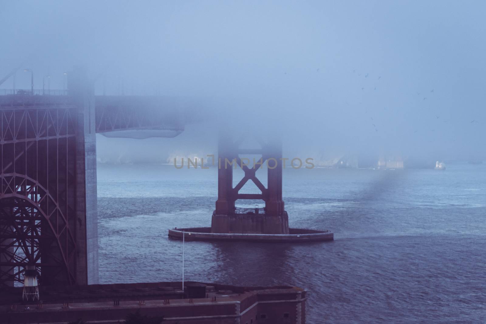 San Francisco Golden Gate bridge in winter fog by kb79