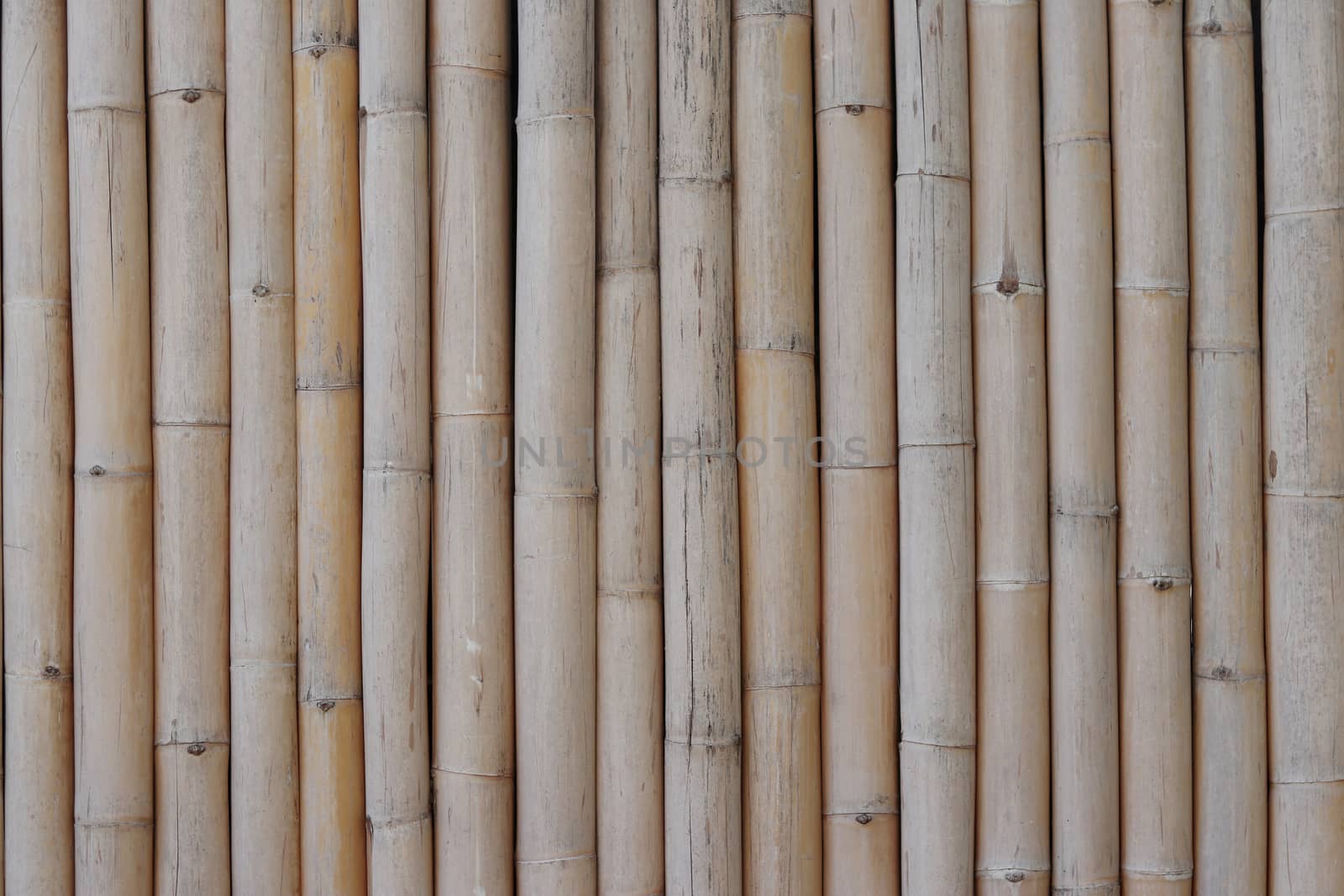 Dry brown bamboo pattern background. Dry bamboo background. by Eungsuwat