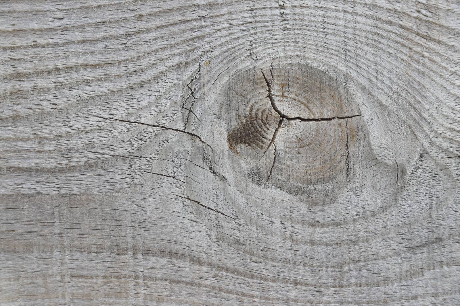 Old wood background. Old wood pattern background.