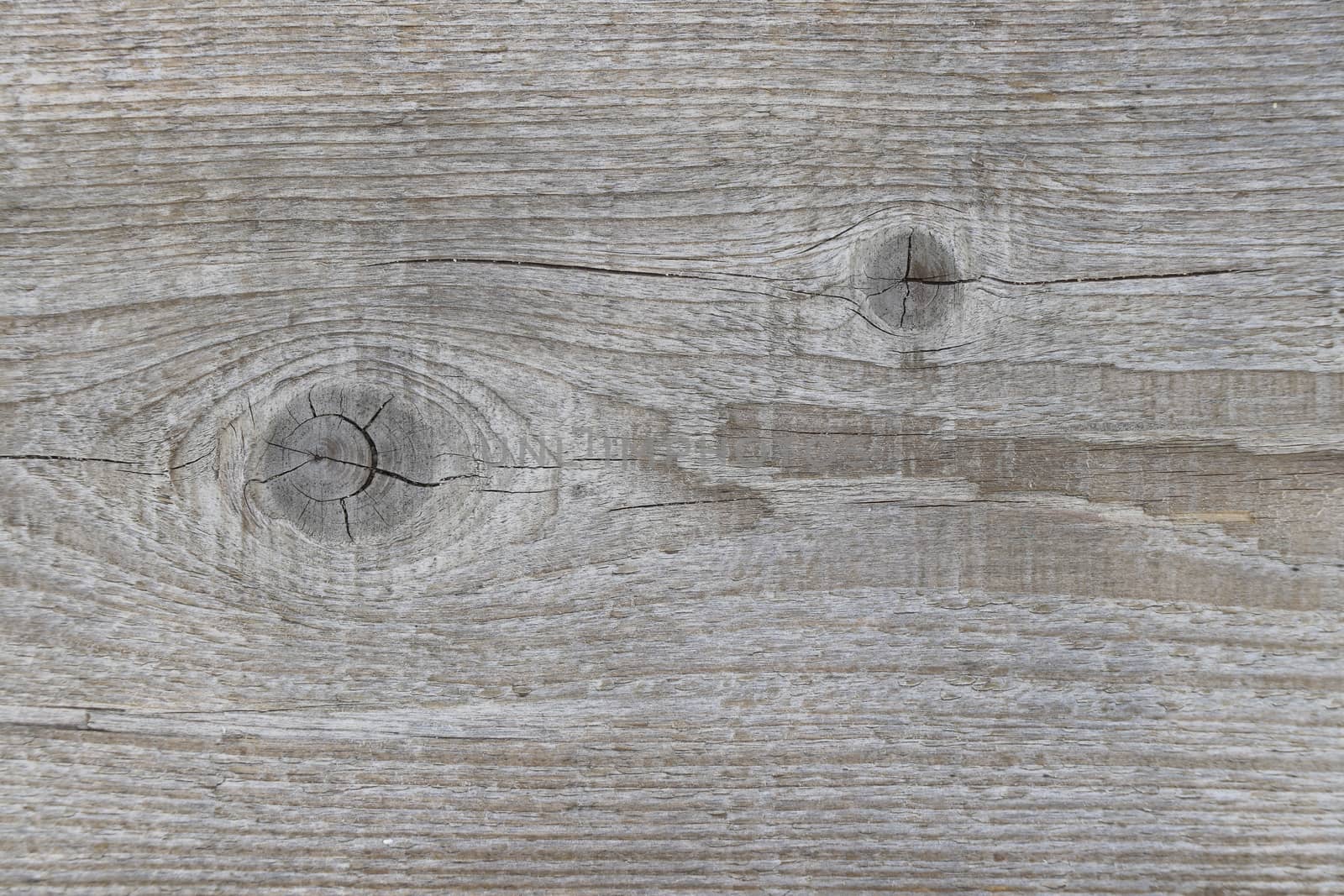 Old wood background. Old wood pattern background.
