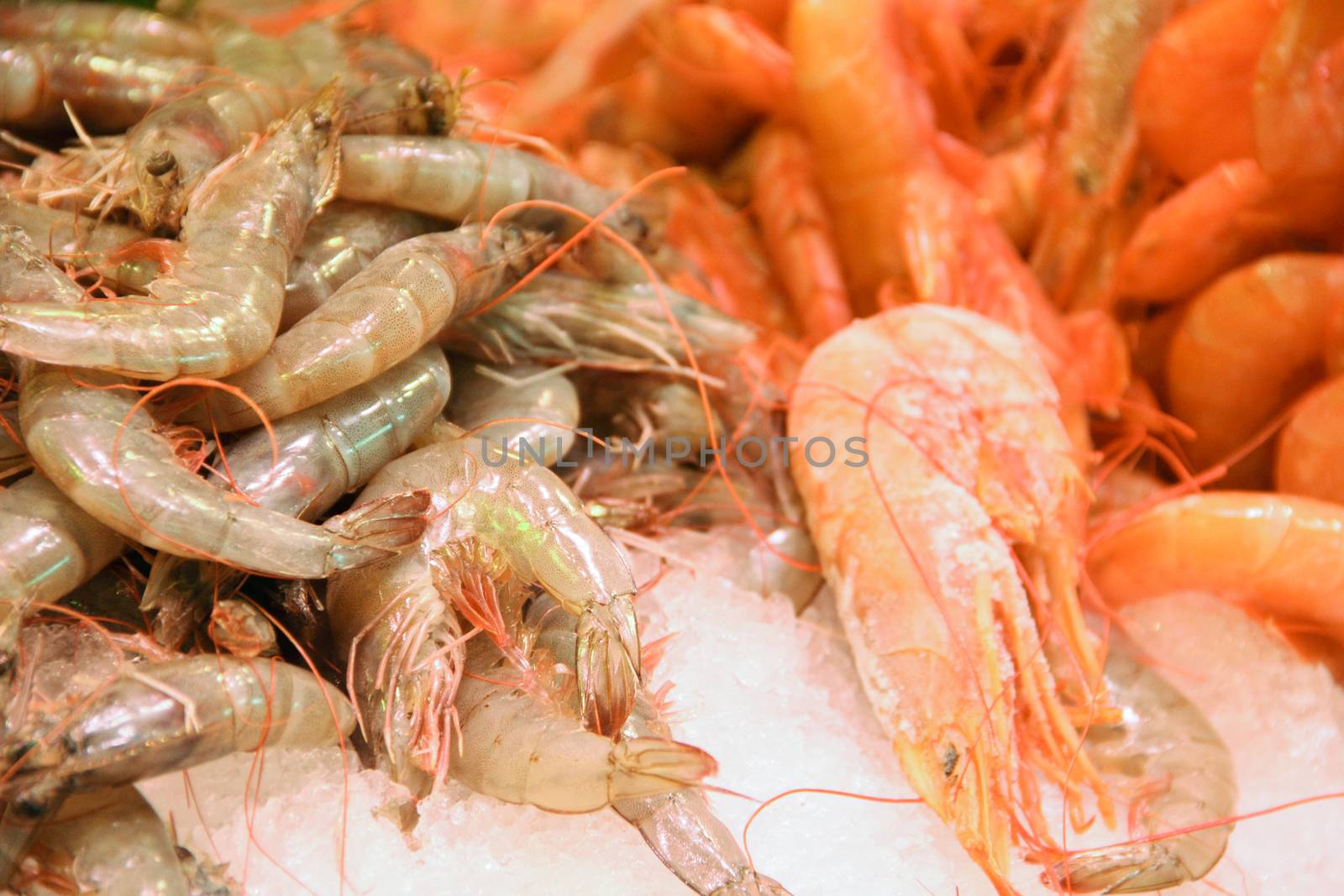 Fresh seafood on ice, variation of shrimp, crayfish, lobster at Seafood market close up