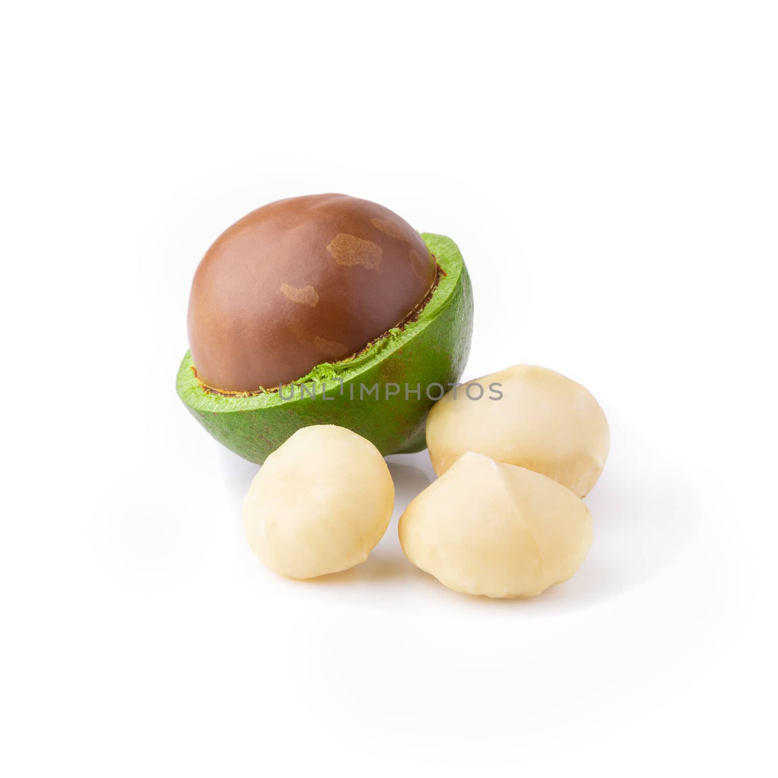 Macadamia nuts isolated on a white background.