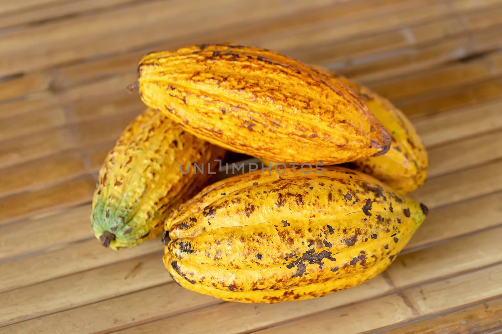 Cacao fruit, raw cacao beans and Cocoa pod background.