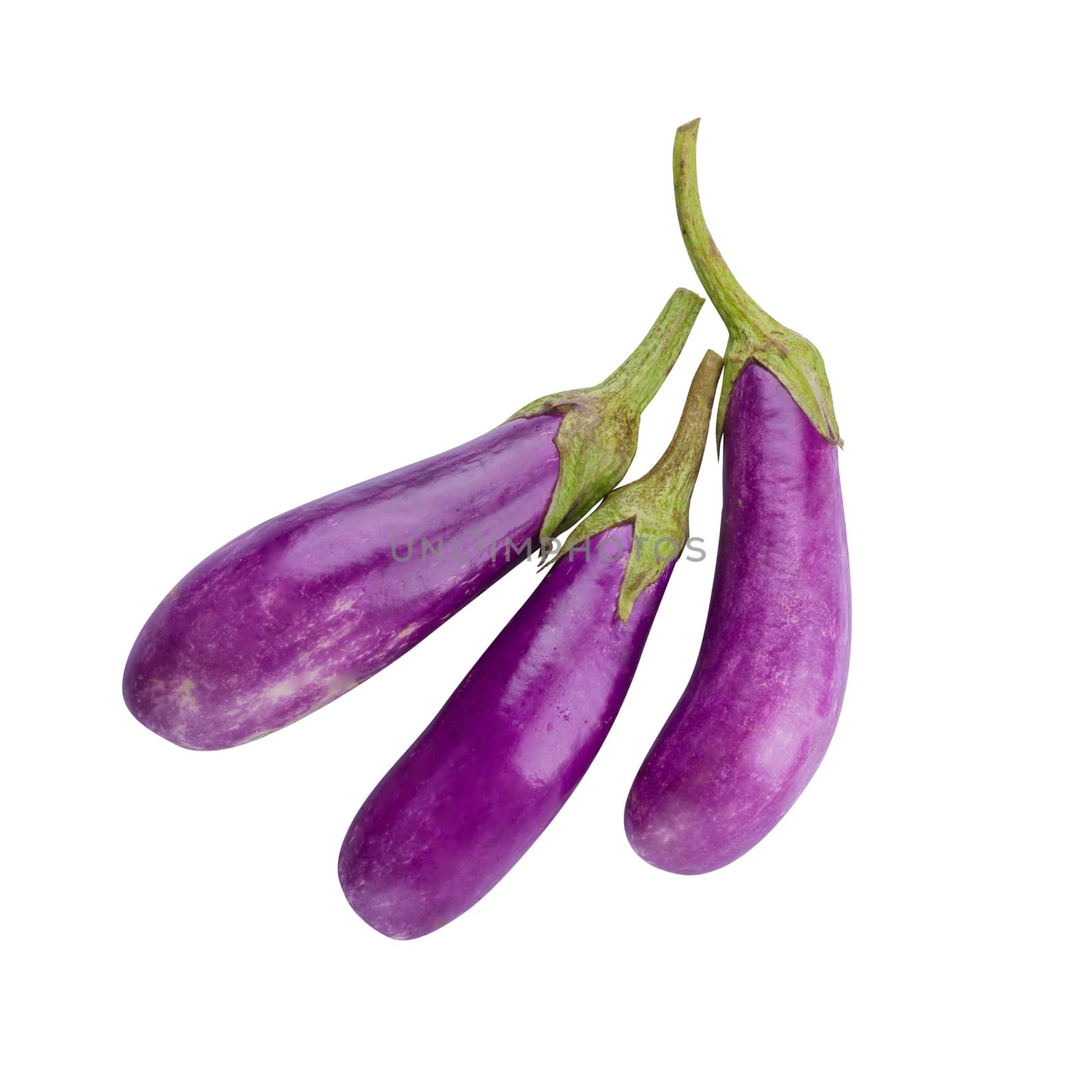 Eggplant or aubergine vegetable isolated on white background by kaiskynet