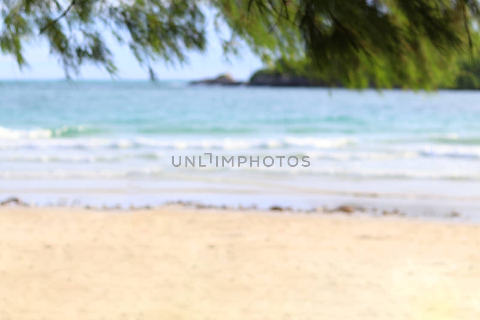 Blurred beach background with pine leaves on top.