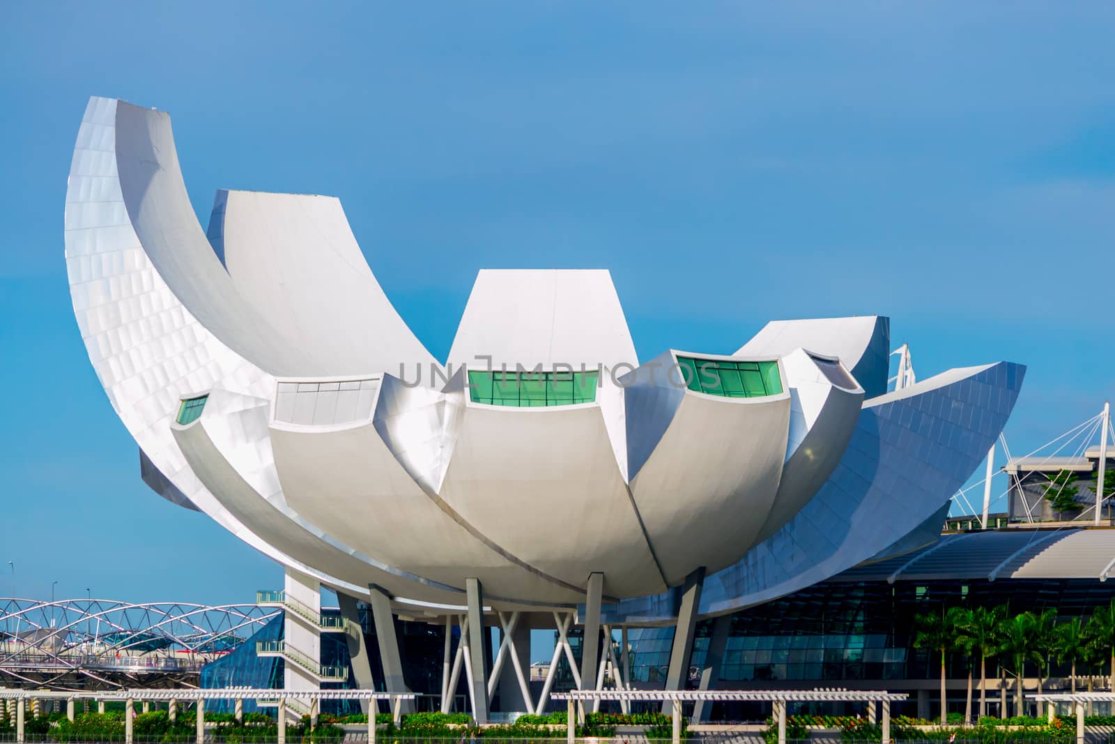 view on the lotus flower architecture of the ArtScience Museum on a clear blue sky by kb79