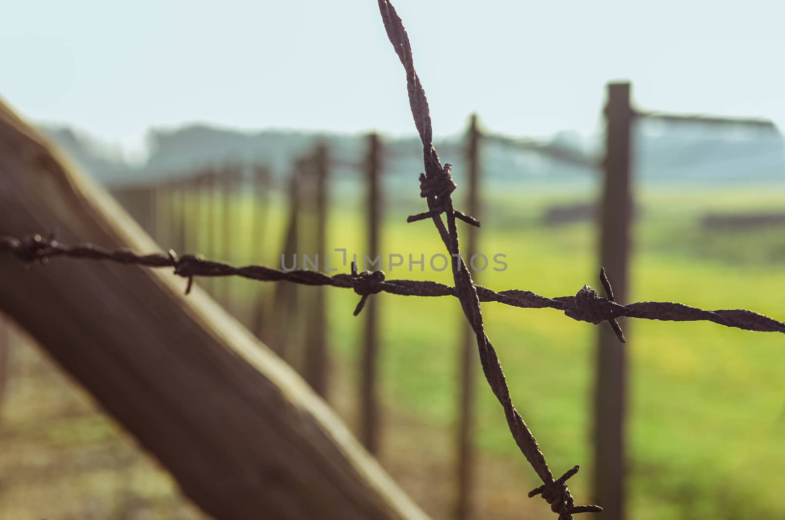 Close up steel fencing Barbed wire in German concentration and extermination camp Majdanek. Lublin, Poland by chernobrovin