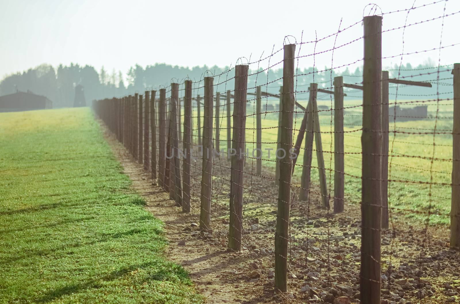 grass and path between barbed wire fences in German concentration and extermination camp Majdanek. Lublin, Poland