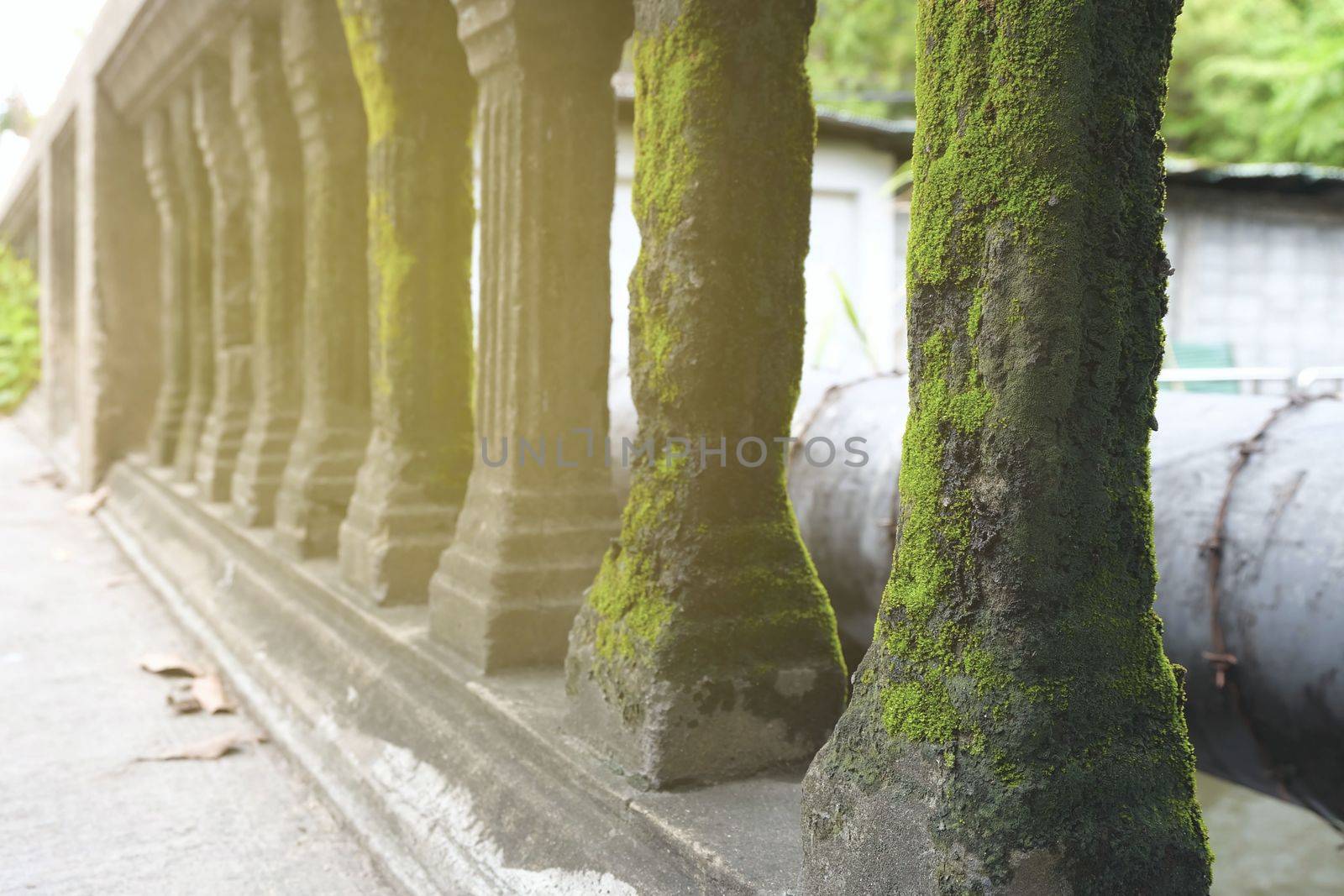 Moss on Old Rail Bridge with Light Leak. by mesamong