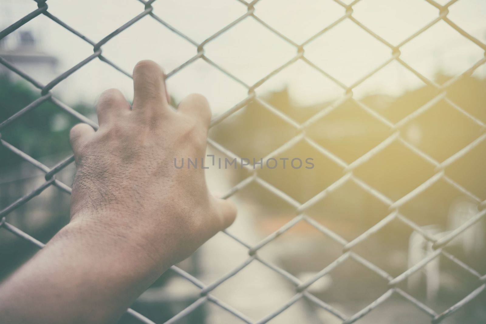 Man Hand Holding on Chain Link Fence with Light Leak. by mesamong