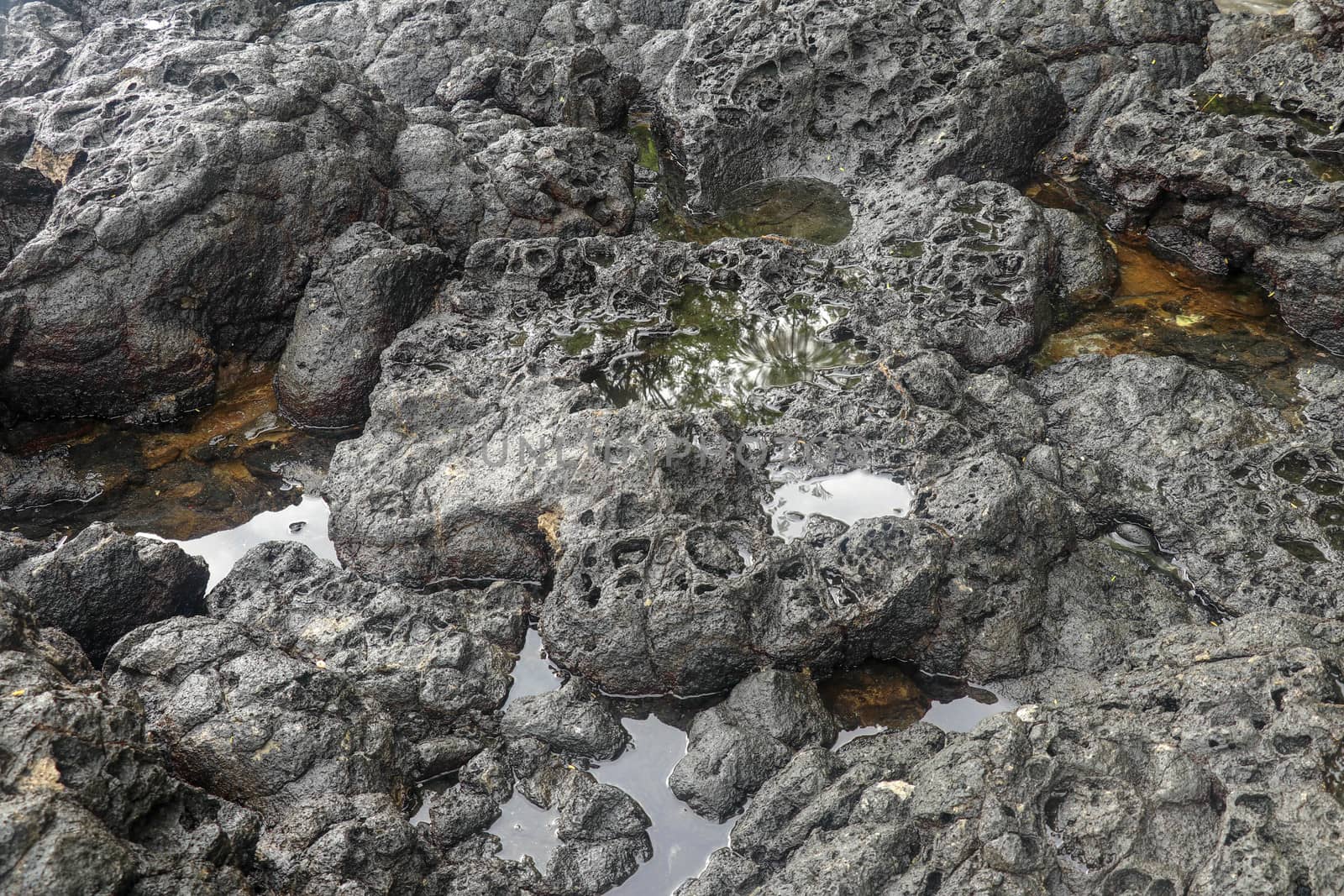 Depressions in a rock with white sand at the bottom, flooded with sea water. Small ponds excavated in lava bed on Indian Ocean coast, Bali, Indonesia. The tide dug out small lakes in the black rock.