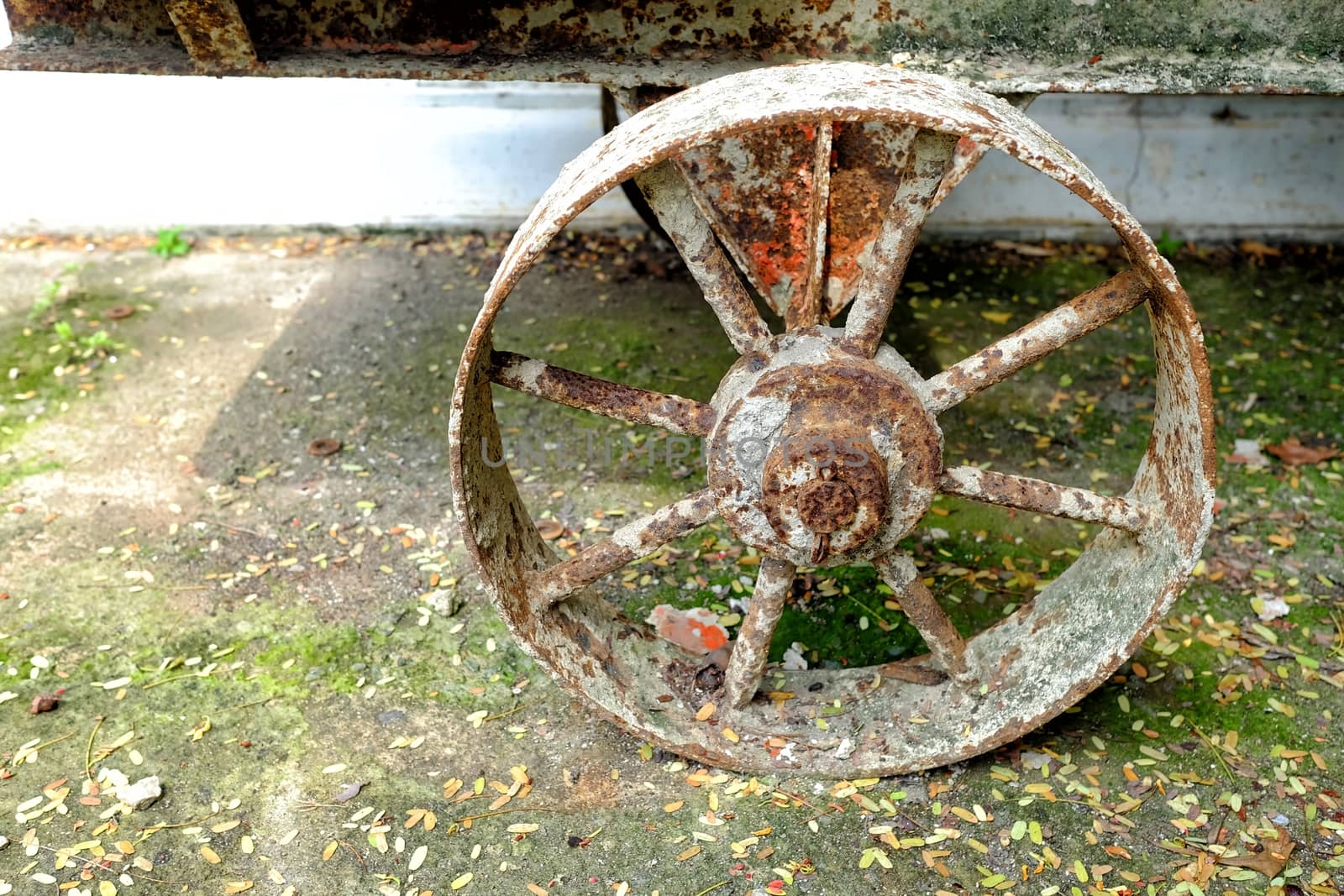Closed-up Old Wheel of Cart. by mesamong
