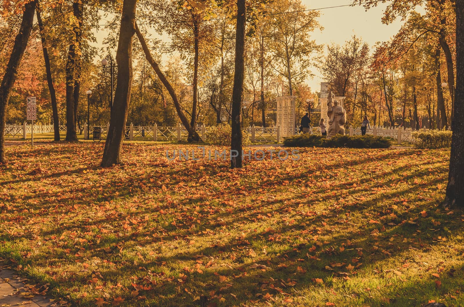 fallen leaves on the grass of the autumn park  background