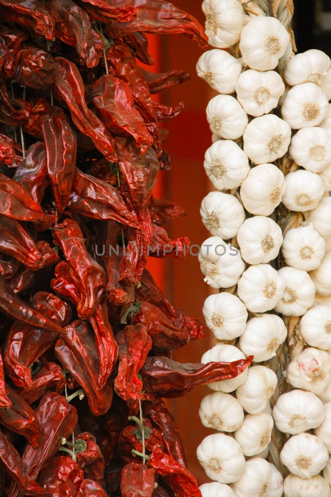 Red peppers and garlic in market by destillat