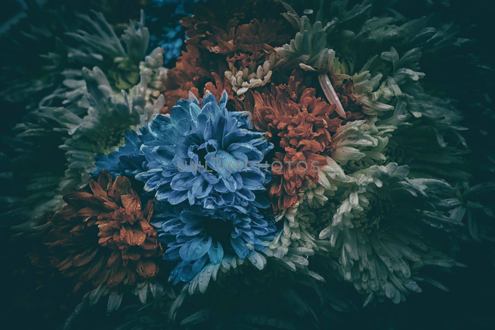 Colorful Flowers Background in Vintage Style.