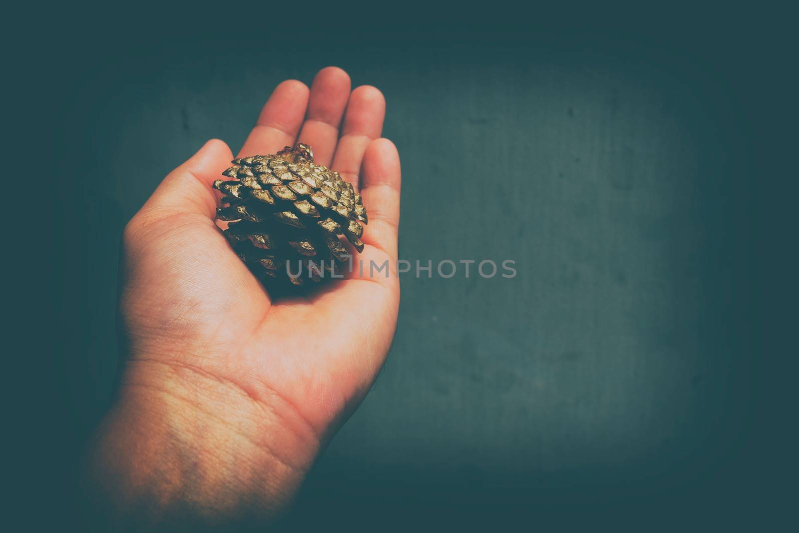 Golden Pine Cone in Hand in Vintage Style. Background for Christmas Time with Space for Text.