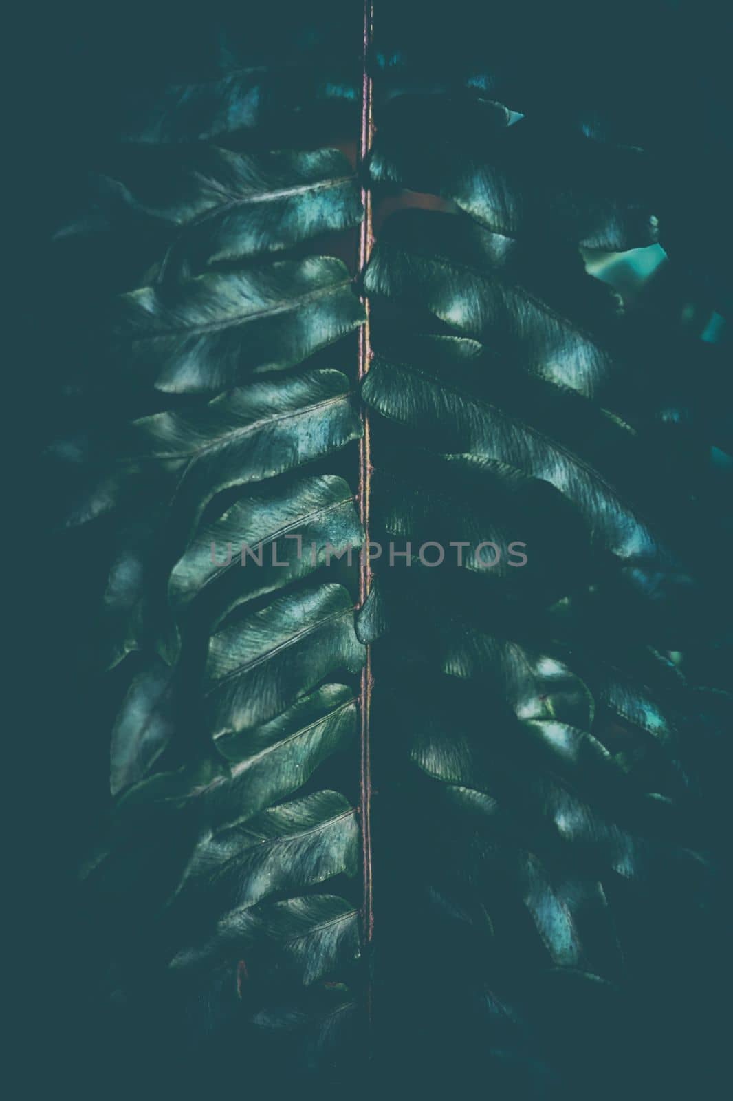 Leaves Background in Dark Contrast with Vintage Style. by mesamong